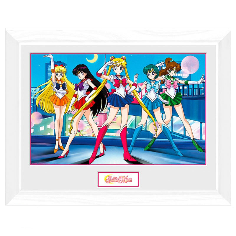 Sailor Moon - Framed Print - Group